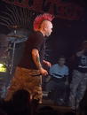 The Exploited 