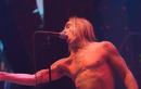 Iggy Pop 