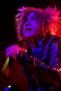 The GazettE 