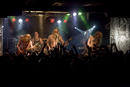 Ensiferum 