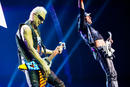 Scorpions 