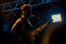 Animals as Leaders 