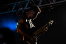 Animals as Leaders 