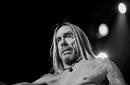 Iggy and the Stooges 