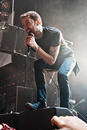 Rise Against 