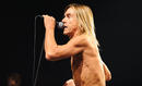 Iggy and the Stooges 