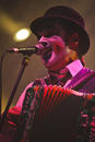 Tiger Lillies 