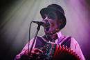 Tiger Lillies 